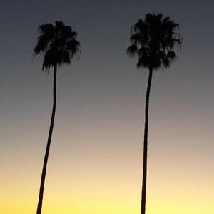 Meet your Posher, Penny